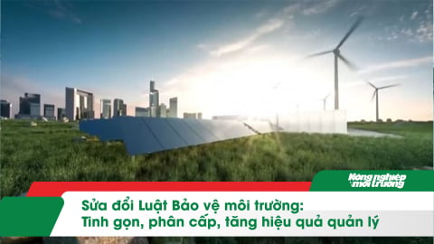 Sửa đổi Luật Bảo vệ môi trường: Tinh gọn, phân cấp, tăng hiệu quả quản lý