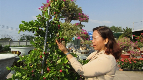 Kiểng tết độc, lạ hút hàng