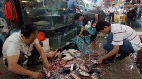 Chợ ướt