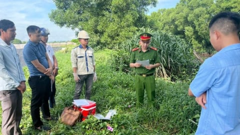 Xử phạt hơn 700 triệu đồng 4 cơ sở vi phạm về môi trường