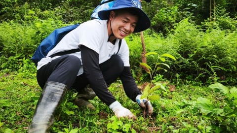 'Rừng xanh lên 2025': Chung tay hồi sinh rừng Tây Bắc