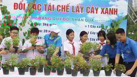 Sơn La nhân rộng các mô hình, phong trào bảo vệ môi trường