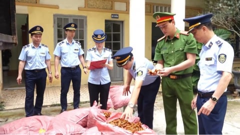 Lạng Sơn thu giữ hơn 1,5 tấn chân gà không rõ nguồn gốc
