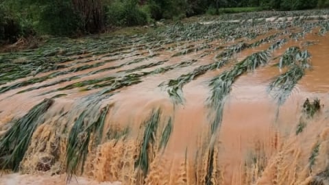 Mưa lớn gây nhiều thiệt hại ở Tràng Định
