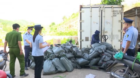 Lạng Sơn thu giữ hơn 4 tấn chân gà không rõ nguồn gốc