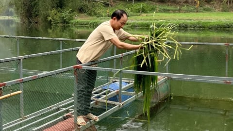 Đổi đời từ dòng sông quê