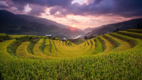 Nhà nông đón khách