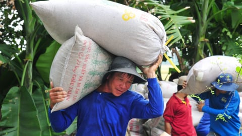 Câu chuyện đồng bằng