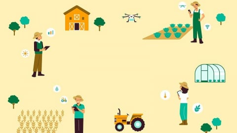 Sứ mệnh hợp tác xã nông nghiệp