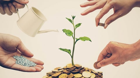 Từ làm ăn cá thể đến làm ăn tập thể