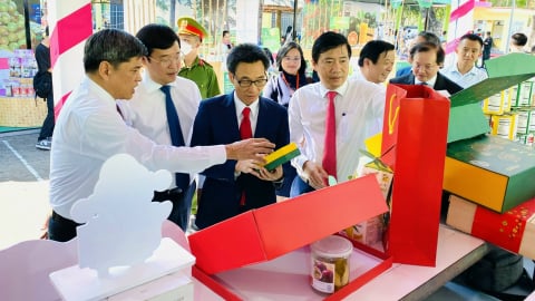 Khởi nghiệp lĩnh vực nông nghiệp chỉ chiếm 2%