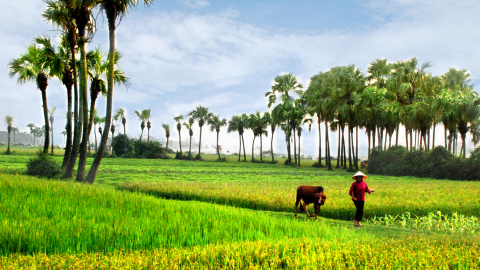 Thế nào là nông thôn văn minh
