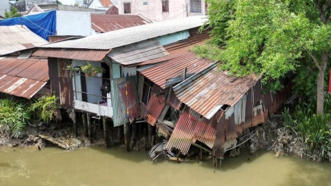 Ngó xuống dân