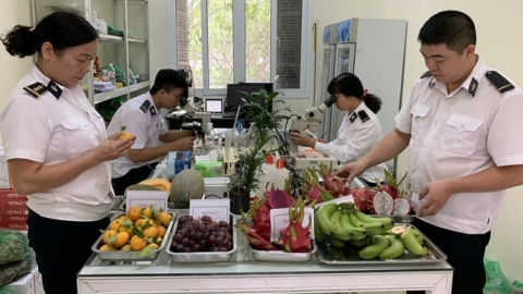 Anh cắt giảm thủ tục hành chính về kiểm dịch đối với nông sản Việt Nam