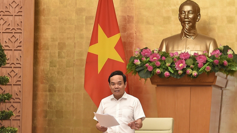 Thông qua Quy hoạch Lâm nghiệp quốc gia giai đoạn 2021-2030