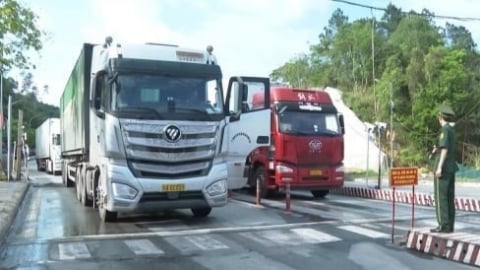 Lạng Sơn điều tiết xe chở hàng qua cửa khẩu Hữu Nghị