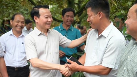 Bộ trưởng Đỗ Đức Duy chủ trì hội nghị tháo gỡ vướng mắc, nâng cao năng lực sản xuất sầu riêng