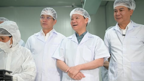 Lan tỏa tin vui kết quả Hội đàm cấp Bộ trưởng về thương mại nông sản Việt - Trung