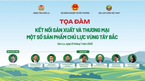 Kết nối sản xuất và thương mại nông lâm sản vùng Tây Bắc