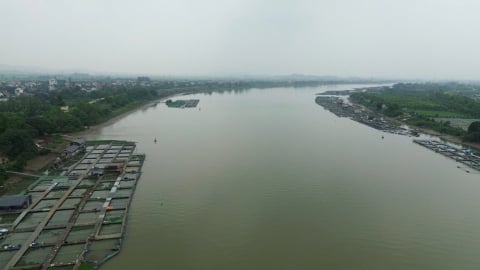 Nỗi lo từ hàng nghìn lồng bè nuôi trồng thủy sản trên sông Kinh Thầy