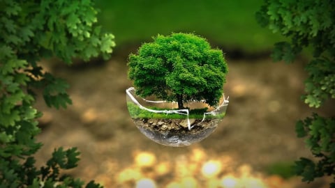 Lấy bảo vệ môi trường, ứng phó biến đổi khí hậu làm động lực tăng trưởng