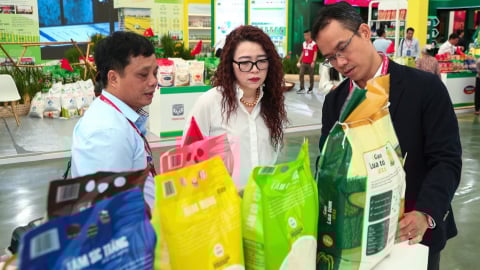 Từ hạt gạo nuôi quân đến thương hiệu gạo Việt trên thế giới