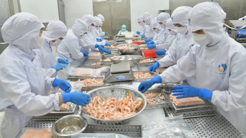Thủy sản 'vững sóng' vươn tầm: [Bài 1] Dấu ấn một hành trình