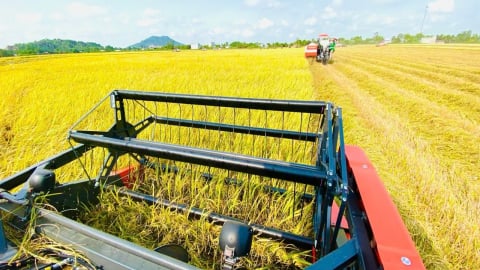 Nhìn từ cấu trúc của nền nông nghiệp chuyển đổi