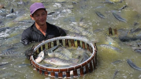 Địa lý của một bữa ăn