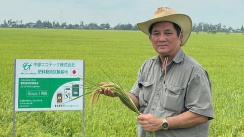 Đã đến lúc ngành gạo Việt Nam phải hiểu luật chơi toàn cầu