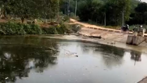 Hai trại lợn ở một xã thi nhau xả thải ra môi trường
