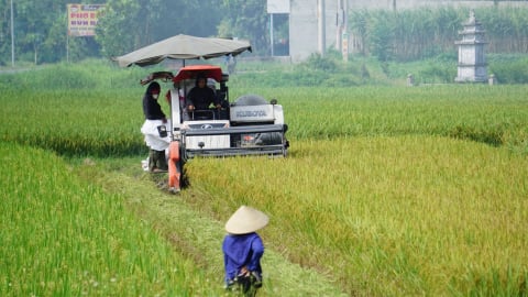 Không để gián đoạn xây dựng nông thôn mới khi chuyển đổi chính quyền 2 cấp