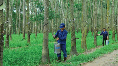 Chữ ký của hai ông Chủ tịch