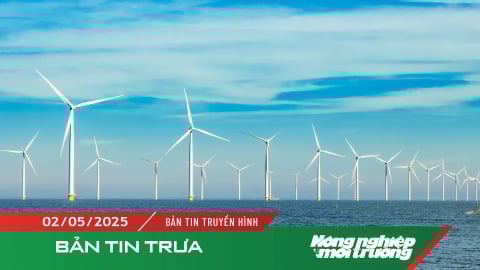 Năm 2030 sẽ đạt 6–10 GW điện gió ngoài khơi