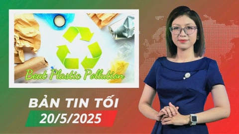 Hành động vì tương lai không ô nhiễm nhựa
