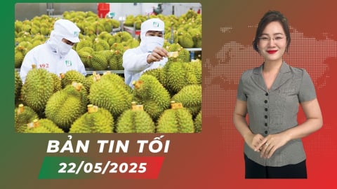Phát triển ngành gia cầm theo chuỗi giá trị bền vững