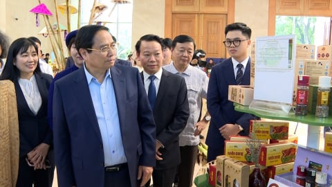Kết nối nguồn lực, phát triển nông thôn mới