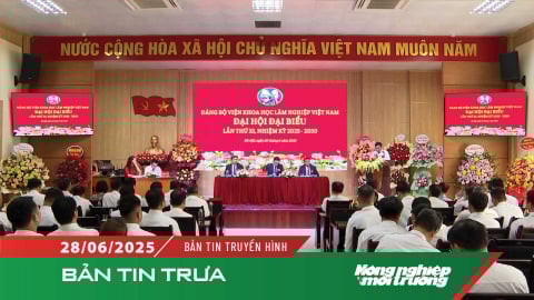 TP. Hà Nội sẵn sàng vận hành chính quyền hai cấp