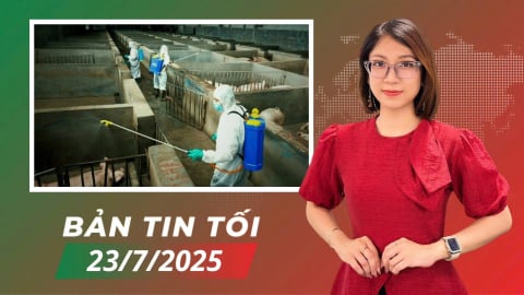 Tăng sức 'đề kháng' cho ngành chăn nuôi trước dịch bệnh