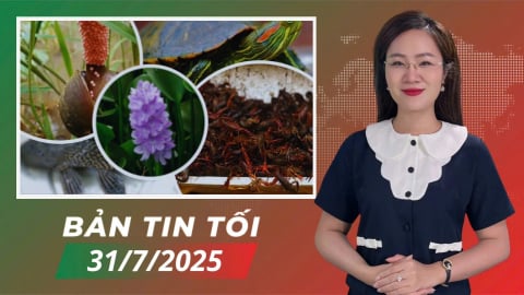 Ngăn chặn loài ngoại lai xâm hại ‘cứu’ hệ sinh thái