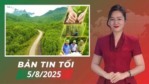Nâng sinh kế, giảm phát thải nhờ tín chỉ carbon