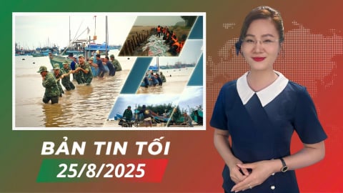 Quyết liệt ứng phó bão số 5
