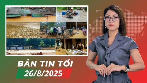 Bão qua, tình người ở lại