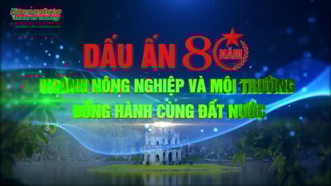 Dấu ấn 80 năm ngành Nông nghiệp và Môi trường đồng hành cùng đất nước