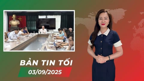 Cần kế hoạch cấp bách ứng phó Luật Bảo tồn thú biển của Hoa Kỳ