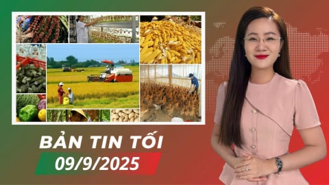 An ninh lương thực - ‘Chìa khóa vàng’ cho cuộc sống xanh