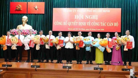 Điều động 12 lãnh đạo sở, ngành làm bí thư, phó bí thư phường, xã