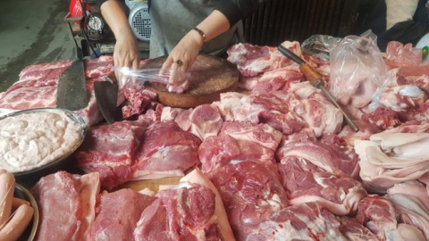 Phân biệt bệnh gạo lợn và áp xe bã đậu lành tính