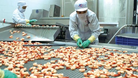 Xuất khẩu thủy sản tháng 4/2025 thu về 850 triệu USD