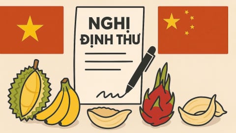 Thị trường nông sản Việt đa kênh, đa hướng: [Bài 2] Những 'nghị định thư mở đường'